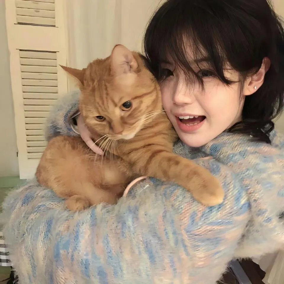 换乘恋爱日本版